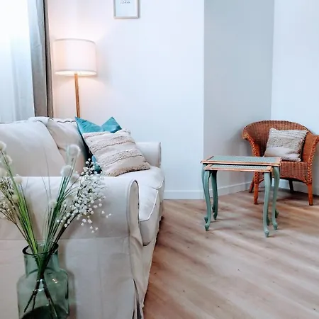 & Confort 3 Pieces Parking Clim Et Wifi Apartment